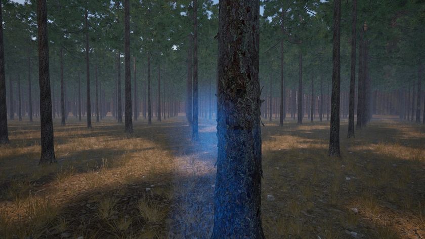Standing in front of a tree with the crosshair on it, right before marking it.